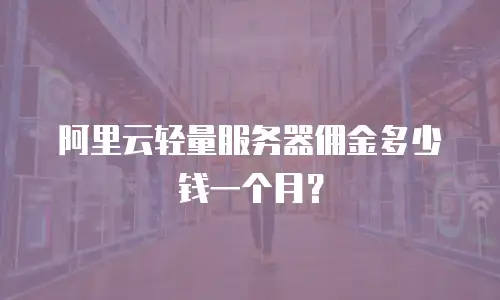 阿里云轻量服务器佣金多少钱一个月？