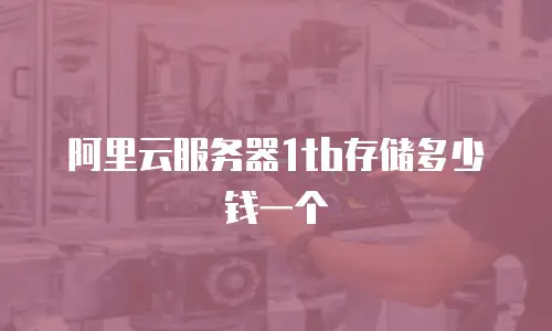 阿里云服务器1tb存储多少钱一个