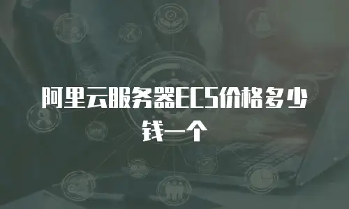 阿里云服务器ECS价格多少钱一个