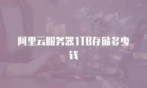 阿里云服务器1TB存储多少钱