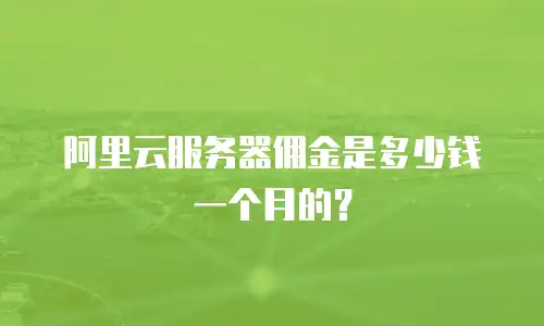 阿里云服务器佣金是多少钱一个月的？