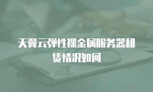 天翼云弹性裸金属服务器租赁情况如何