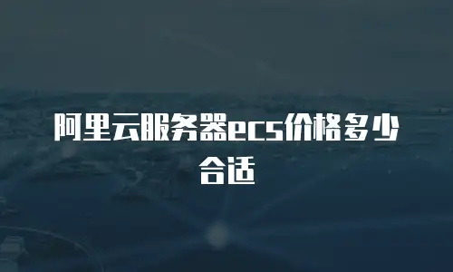 阿里云服务器ecs价格多少合适