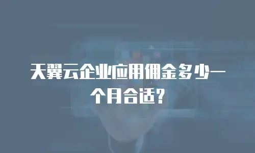 天翼云企业应用佣金多少一个月合适？