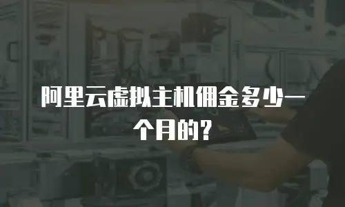 阿里云虚拟主机佣金多少一个月的？
