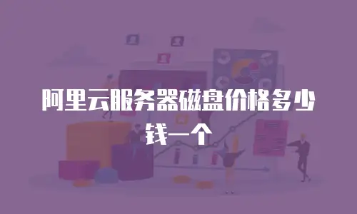 阿里云服务器磁盘价格多少钱一个