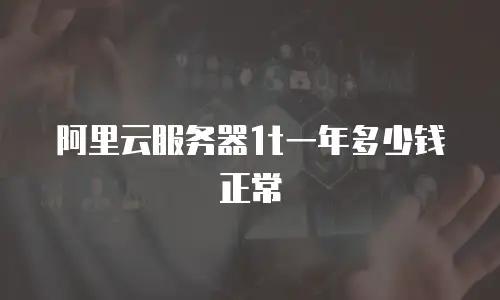 阿里云服务器1t一年多少钱正常