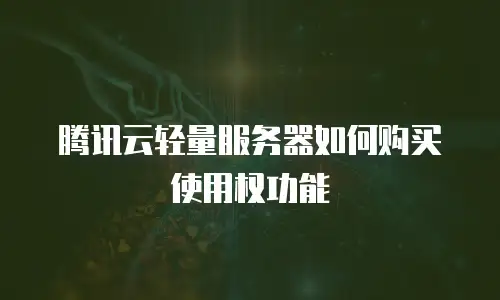腾讯云轻量服务器如何购买使用权功能