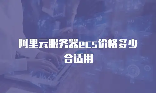 阿里云服务器ecs价格多少合适用
