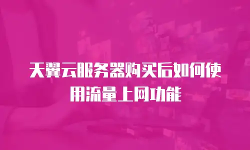 天翼云服务器购买后如何使用流量上网功能