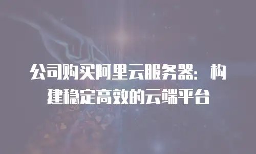 公司购买阿里云服务器：构建稳定高效的云端平台