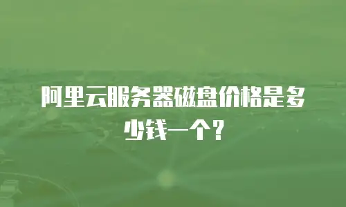 阿里云服务器磁盘价格是多少钱一个？