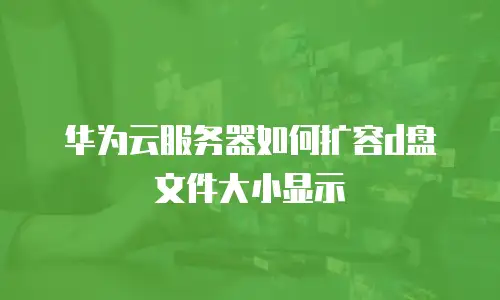 华为云服务器如何扩容d盘文件大小显示