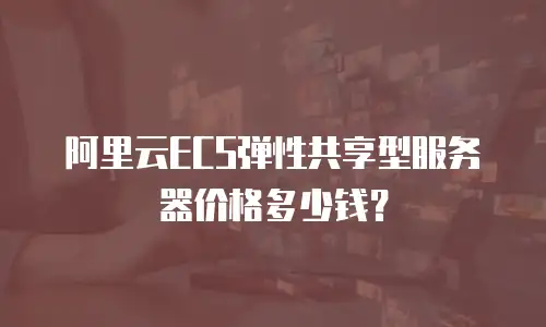 阿里云ECS弹性共享型服务器价格多少钱？