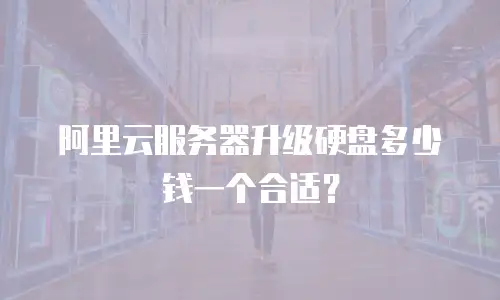 阿里云服务器升级硬盘多少钱一个合适？