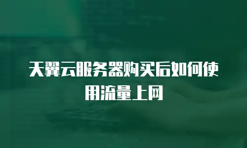 天翼云服务器购买后如何使用流量上网