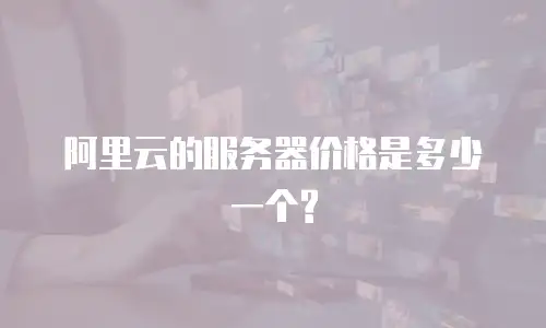 阿里云的服务器价格是多少一个?
