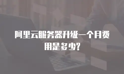 阿里云服务器升级一个月费用是多少?