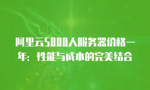 阿里云5000人服务器价格一年：性能与成本的完美结合