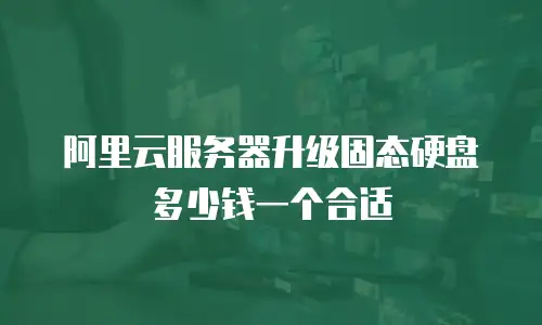 阿里云服务器升级固态硬盘多少钱一个合适