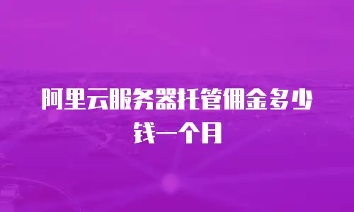 阿里云服务器托管佣金多少钱一个月