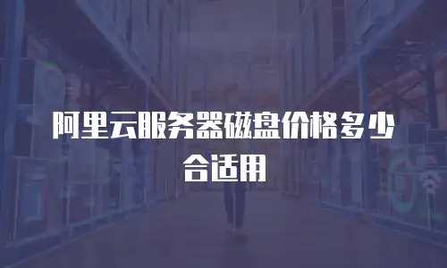 阿里云服务器磁盘价格多少合适用