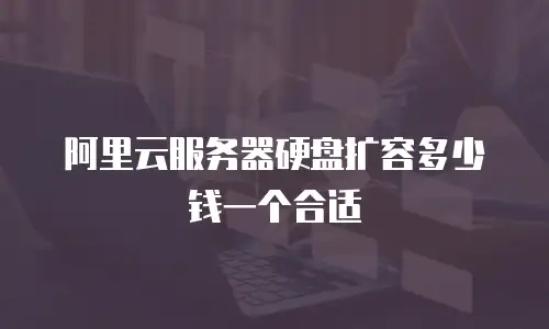 阿里云服务器硬盘扩容多少钱一个合适