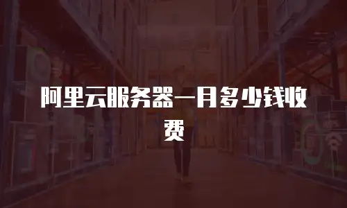阿里云服务器一月多少钱收费