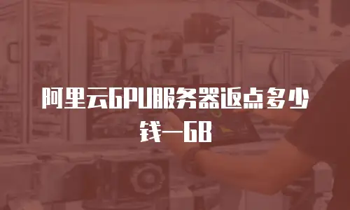 阿里云GPU服务器返点多少钱一GB