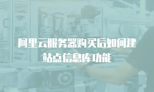 阿里云服务器购买后如何建站点信息库功能