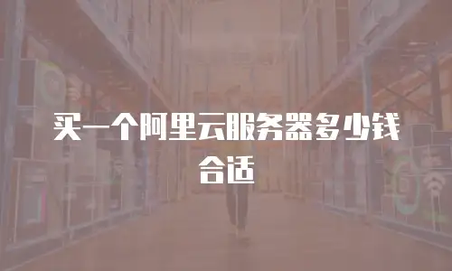 买一个阿里云服务器多少钱合适
