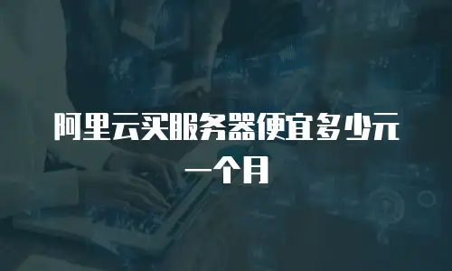 阿里云买服务器便宜多少元一个月