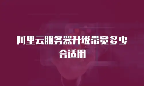 阿里云服务器升级带宽多少合适用