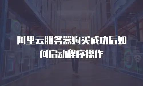 阿里云服务器购买成功后如何启动程序操作