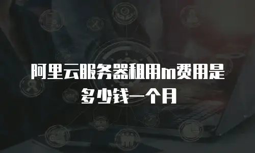 阿里云服务器租用m费用是多少钱一个月