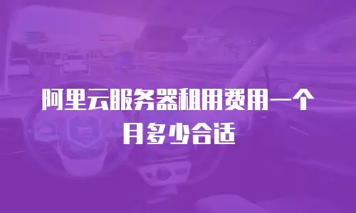 阿里云服务器租用费用一个月多少合适