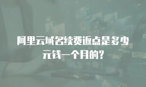 阿里云域名续费返点是多少元钱一个月的？