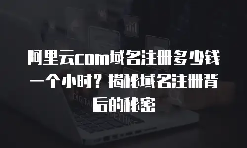 阿里云com域名注册多少钱一个小时？揭秘域名注册背后的秘密