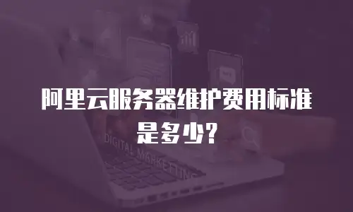 阿里云服务器维护费用标准是多少？