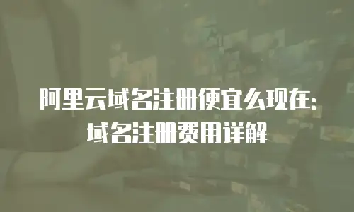 阿里云域名注册便宜么现在：域名注册费用详解