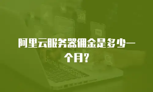 阿里云服务器佣金是多少一个月？