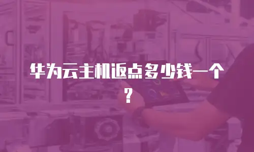 华为云主机返点多少钱一个？