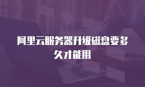 阿里云服务器升级磁盘要多久才能用