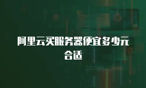 阿里云买服务器便宜多少元合适