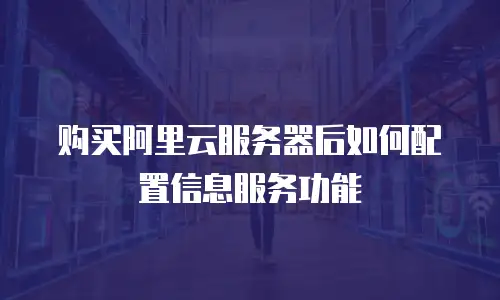 购买阿里云服务器后如何配置信息服务功能