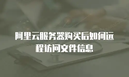 阿里云服务器购买后如何远程访问文件信息