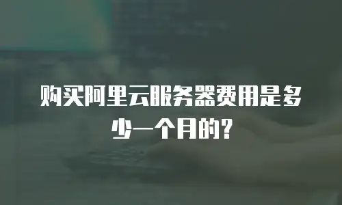 购买阿里云服务器费用是多少一个月的？