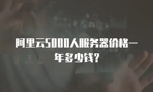 阿里云5000人服务器价格一年多少钱？