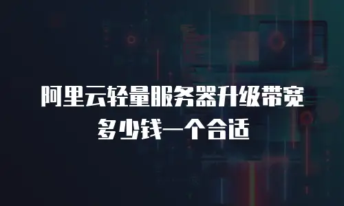阿里云轻量服务器升级带宽多少钱一个合适