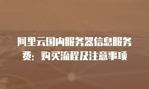 阿里云国内服务器信息服务费：购买流程及注意事项